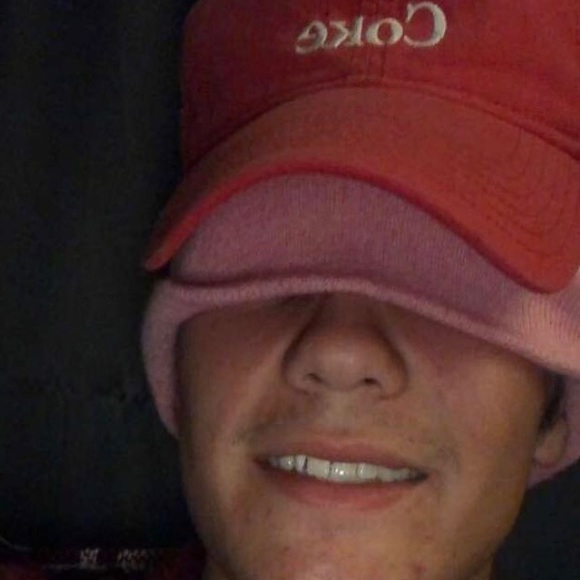 Meet your Posher, Riley - Picture 1 of 1